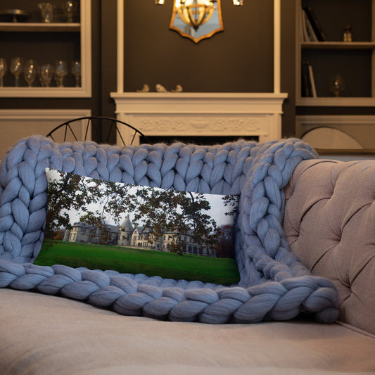 Collinwood 3 Basic Pillow